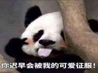 泗洪兴繁网络科技有限公司